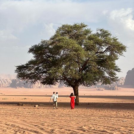 Bedouin Mores camp Wadi Rum Exterior foto